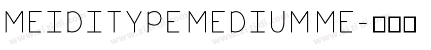 MEIDITYPE MEDIUM ME字体转换